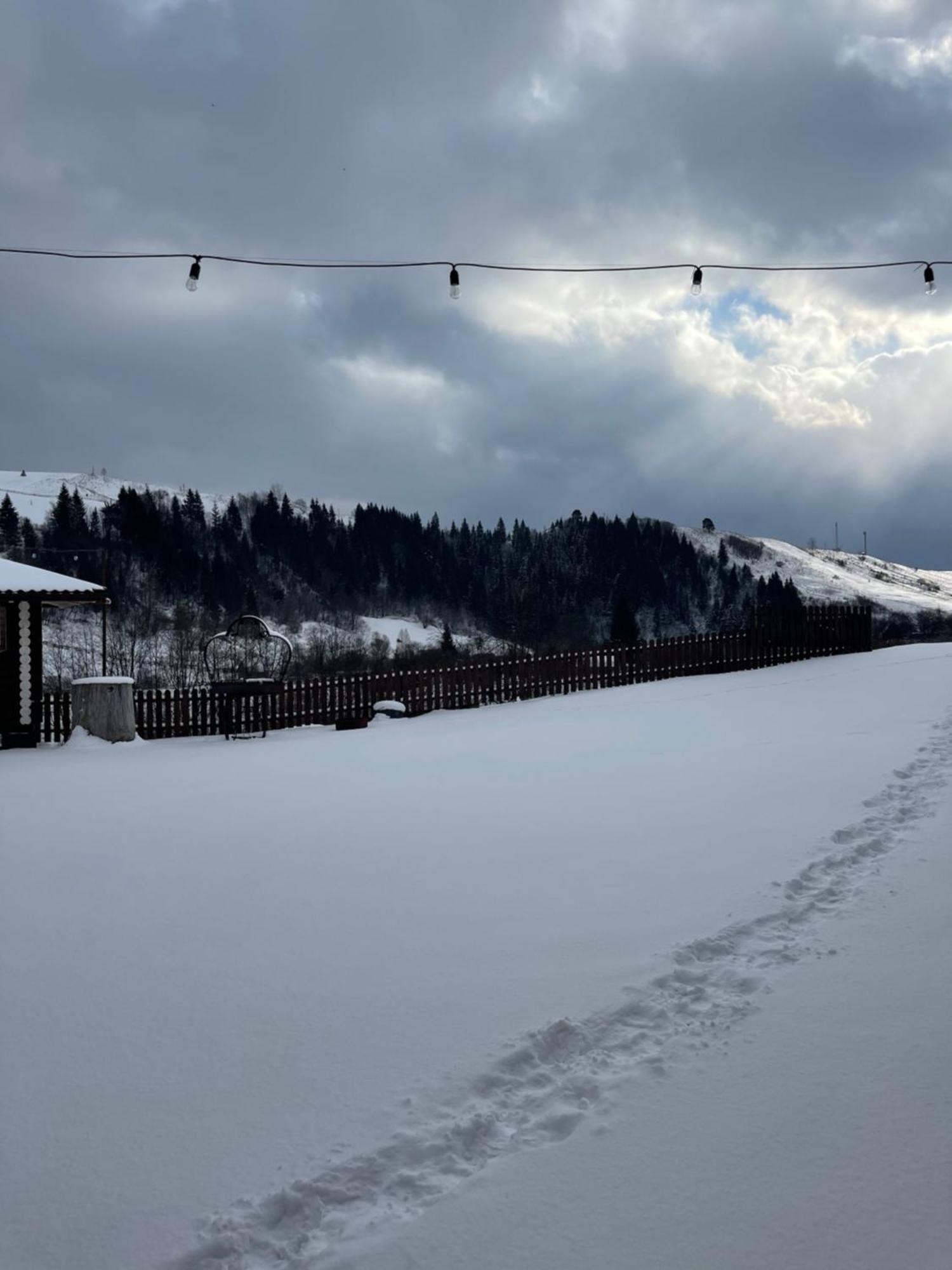 Карпатська Криївка Daire Yasinya Dış mekan fotoğraf